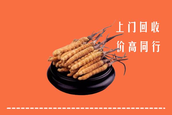 海曙区回收冬虫夏草