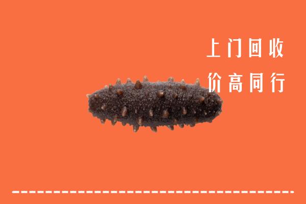 海曙区回收海参