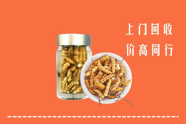 海曙区回收冬虫夏草