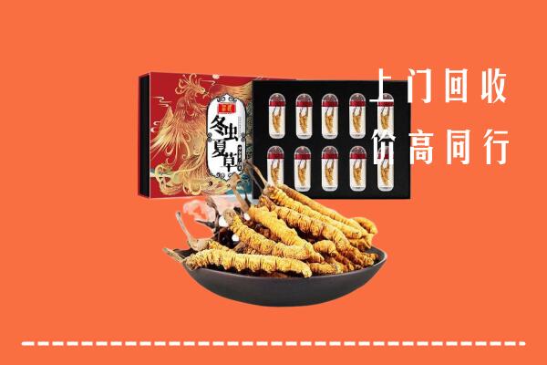 海曙区回收虫草